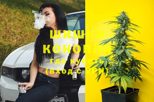 COCAINE Белокуриха