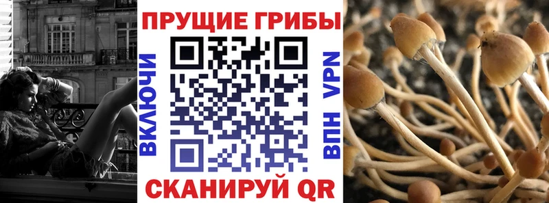 Галлюциногенные грибы прущие грибы даркнет телеграм Киржач